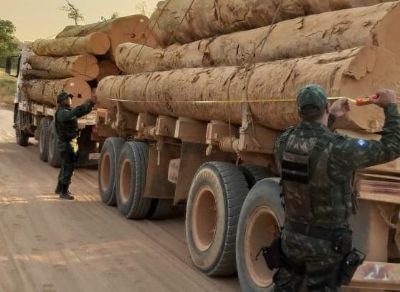 Caminhoneiro  preso transportando madeira de Pequi em Mato Grosso