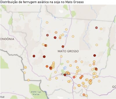 Indea disponibiliza mapa da disperso da ferrugem asitica