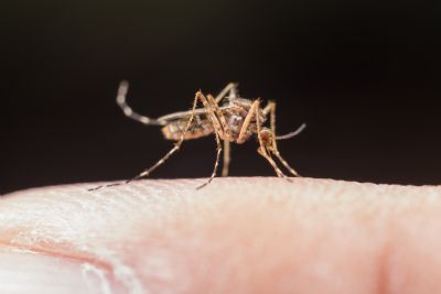 SES aponta reduo de 89% dos casos graves de malria entre 2019 e 2022 em MT