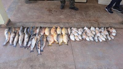 Sema-MT apreende 34 kg de pescado ilegal e aplica mais de R$ 15 mil em multas