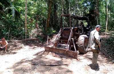 Sema impede extrao ilegal de madeira e aplica R$ 275 mil em multas