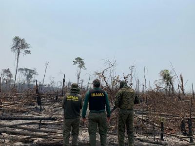 Mato Grosso reduz em 41,5% os alertas de desmatamento em agosto