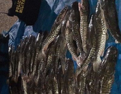 Polcia apreende 234 quilos de pescado e apetrechos