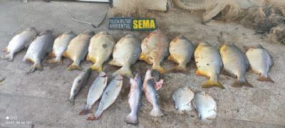 Sema e PM apreendem 20 kg de pescado ilegal em Santo Antnio de Leverger