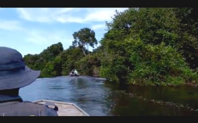 Sema retira 240 metros de redes do rio Araguaia