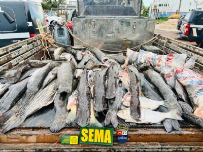 Motorista  flagrado transportando 255 kg de pescado ilegal e  multado em R$ 24 mil