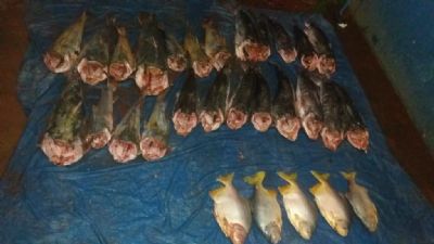 Trs pessoas so presas com 29 exemplares de pescado irregular