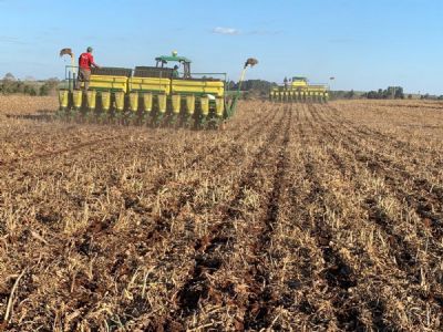 Entidades do agro vencem queda de brao em MT e garantem plantio de soja at 3 de fevereiro