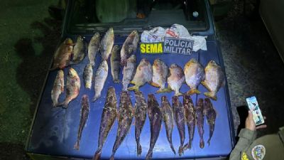 Sema apreende 25,6 kg de pescado irregular e aplica multa de R$ 14,5 mil