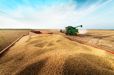 Reduo do plantio de soja nos EUA pode beneficiar o Brasil