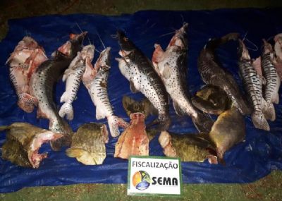 Sema realiza operao em Poxoro e apreende 139,5 kg de pescado