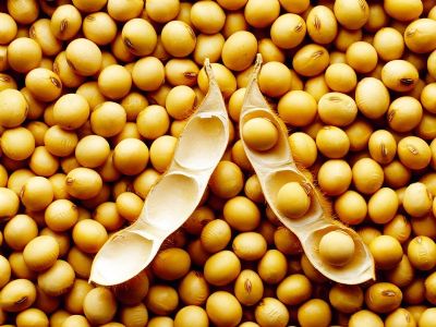 Exportadores de soja dos EUA relatam vendas de 140 mil t a destinos no revelados