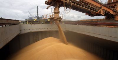 Mato Grosso tem alta na exportao de soja
