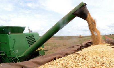 CNA: exportao do agronegcio cresce 5,9% nos primeiros 4 meses do ano