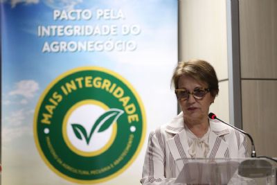 Na ndia, Tereza Cristina diz que agricultura brasileira no  vil