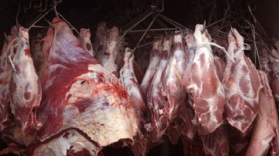 Aps suspeita de 'vaca louca' em MT; Brasil volta a exportar carne bovina para China
