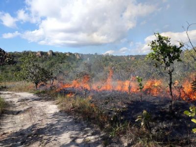Perodo mais severo de seca acende alerta para preveno de incndios na vegetao
