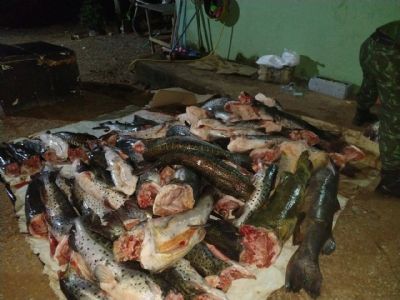 Quase 900 quilos de pescado irregular so apreendidos em bloqueio