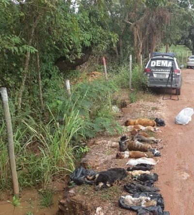 Polcia Civil cumpre mandados de buscas e apreenses em investigao sobre crime ambiental em Cuiab