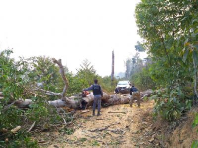 Equipes de fiscalizao ambiental sofrem emboscadas em Colniza