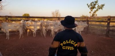 Polcia recupera gado furtado e investiga associao criminosa