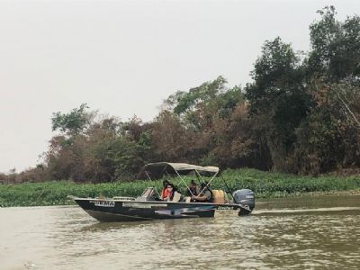 Equipes de fiscalizao e resgate patrulham rios do Pantanal em busca de animais feridos