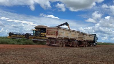 Fazenda em Mato Grosso d incio  colheita de soja no estado