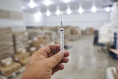 SES disponibiliza vacinas antirrbicas para imunizao na regio de fronteira