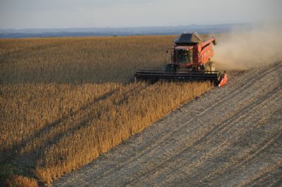 STF nega recurso de multinacional e mantm recuperao de produtor rural