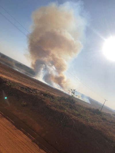 Incndio atinge 23 hectares em rea de mata no municpio de Sorriso