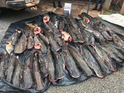 Motorista e passageiro so presos com 400 kg de pescado ilegal