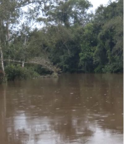 Vdeo | Indgenas que tiveram que deixar aldeia cobram indenizao por rio poludo
