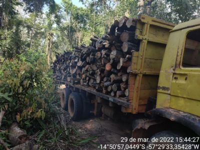 Vdeo | Motorista  preso com caminho carregado com madeira de reserva legal