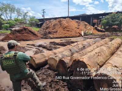 PF prende empresrio madeireiro e flagra desmatamento em terra indgena