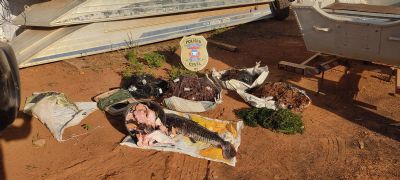 Pescador profissional  preso por crime contra a fauna em Vila Bela da Santssima Trindade