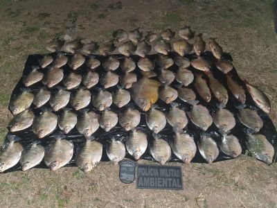 Homem  preso e multado em R$ 2 mil por transportar peixes de tamanho irregular
