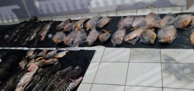 Homem  preso com 166 quilos de pescado e multado em mais de R$ 11 mil