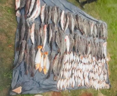 Batalho Ambiental apreende 315 kg de pescado ilegal
