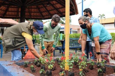 Vrzea Grande abre inscries para curso de jardinagem