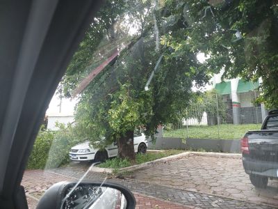 Vdeo | Forte chuva causa queda de rvores e telhado de empresa voa em avenida de VG