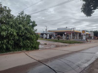Fotos e vídeos | Temporal derruba árvores e postes; Cuiabá e VG registram falta de energia