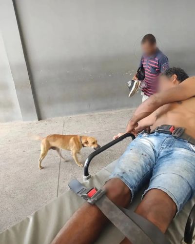 Cachorro caramelo segue por cerca de 3km ambulncia com tutor que foi atropelado