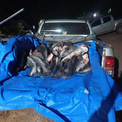 Mais de 300 quilos de pescado ilegal  apreendido no Pantanal