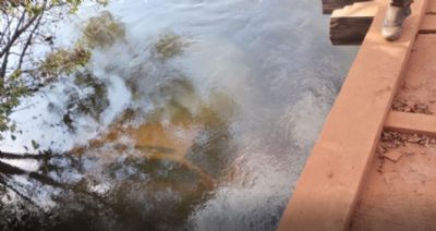 Homem morre aps caminhonete cair em rio do interior de MT