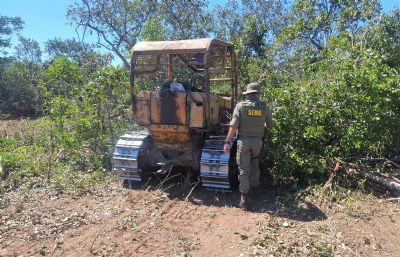 Governo de MT realizou 100 operaes em campo contra desmatamento ilegal de janeiro a maio