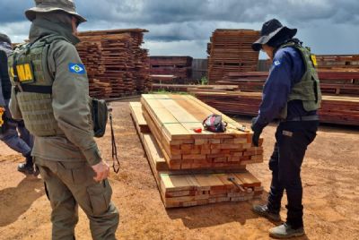 Empreendimentos so embargados e criminosos recebem multa de R$ 800 mil por estoque de madeira ilegal