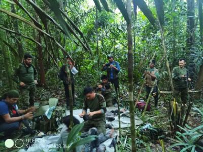 As pistas que ajudaram a encontrar as crianas desaparecidas na selva colombiana
