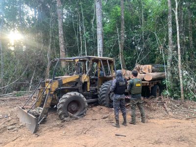 Operao Amaznia desmobiliza extrao ilegal de madeira na Estao Ecolgica Rio Ronuro