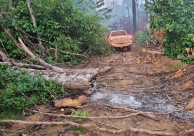 Operao Amaznia realiza dez dias de aes contra desmatamento ilegal