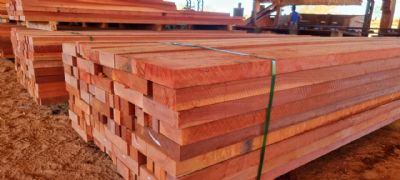 Projetos habitacionais de madeira reduzem dficit e custo da construo em at 30%